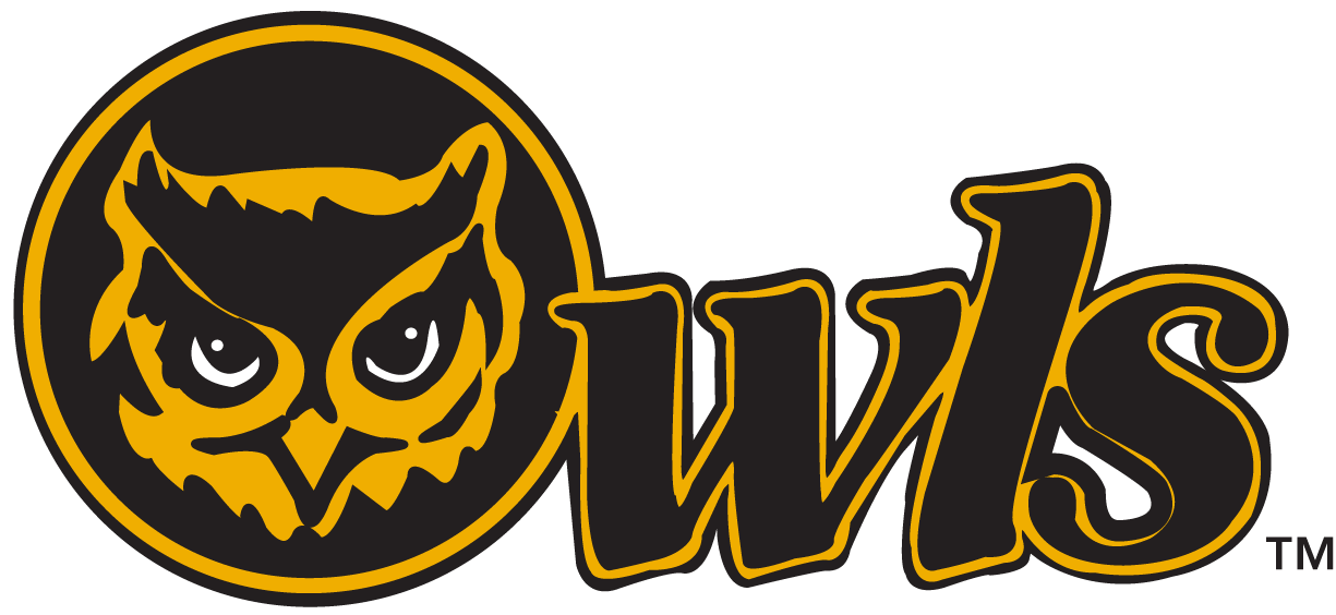 Kennesaw State Owls 0-2011 Secondary Logo v2 diy iron on heat transfer